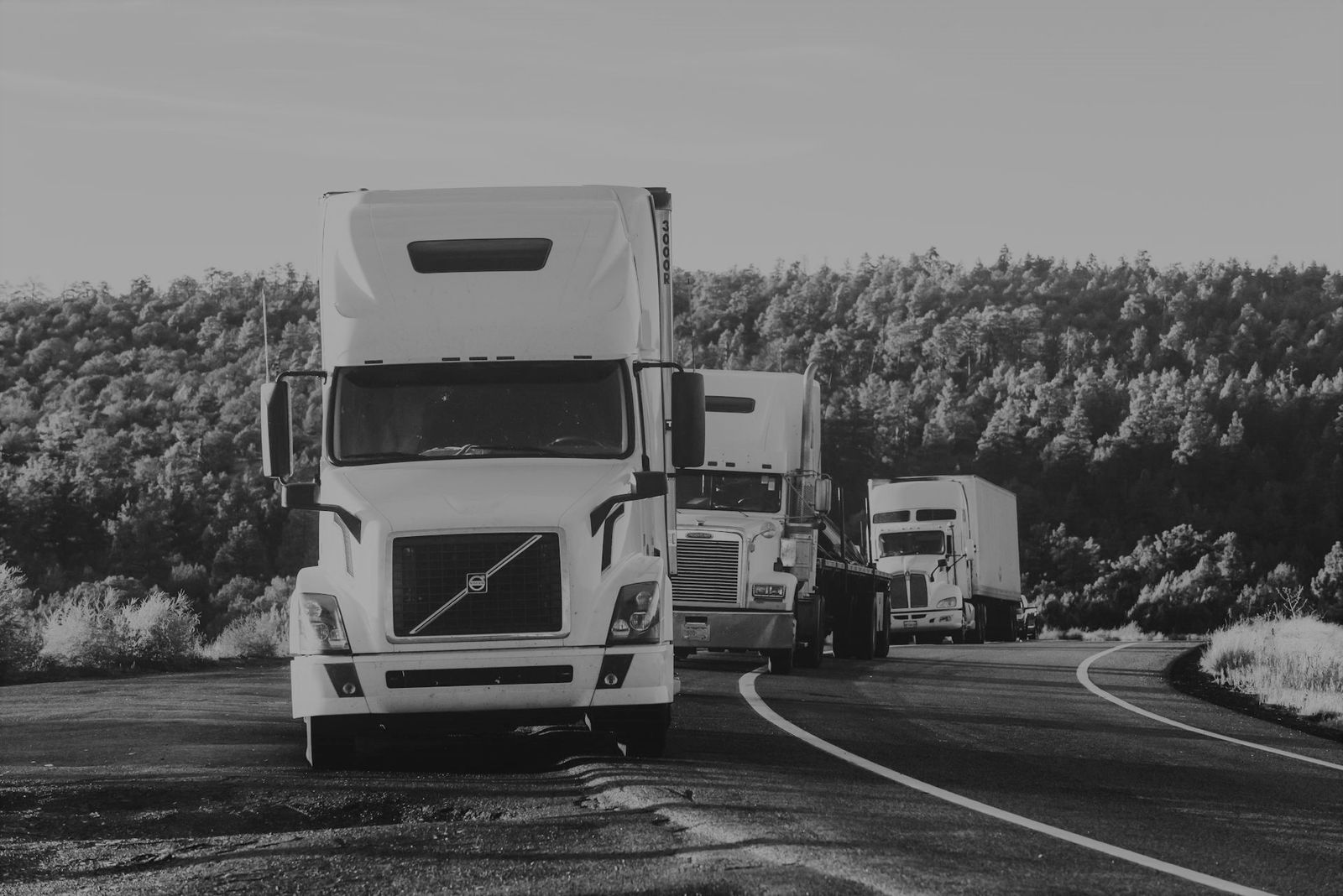 Shippers need an easy-to-use, powerful transportation management system
